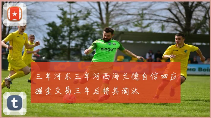 三年河东三年河西海兰德自信回应掘金交易三年后将其淘汰
